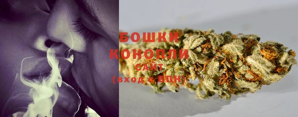 spice Богородск