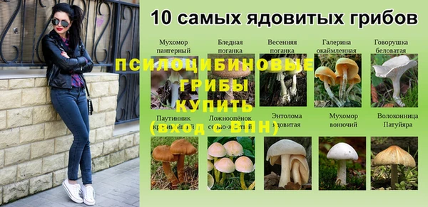стаф Галич