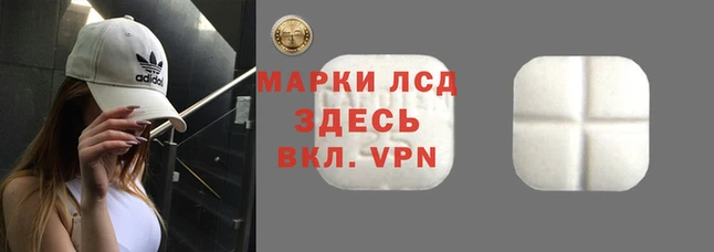 spice Богородск