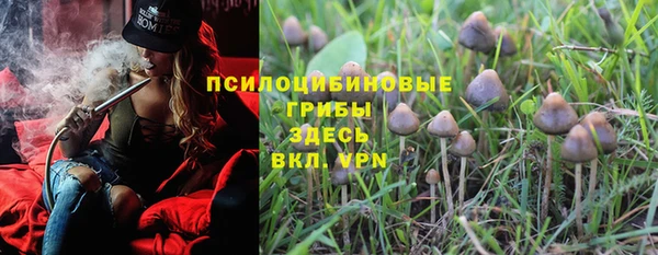 прущий лед Арсеньев
