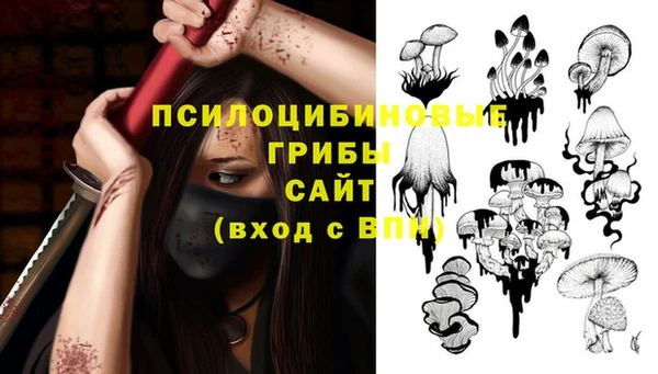 эйфоретик Аркадак