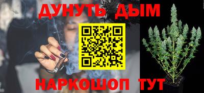 прущие грибы Краснодар