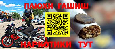 прущие грибы Краснодар