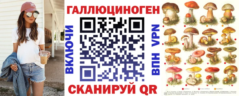 купить наркоту  Кировск  мориарти официальный сайт  Галлюциногенные грибы MAGIC MUSHROOMS 
