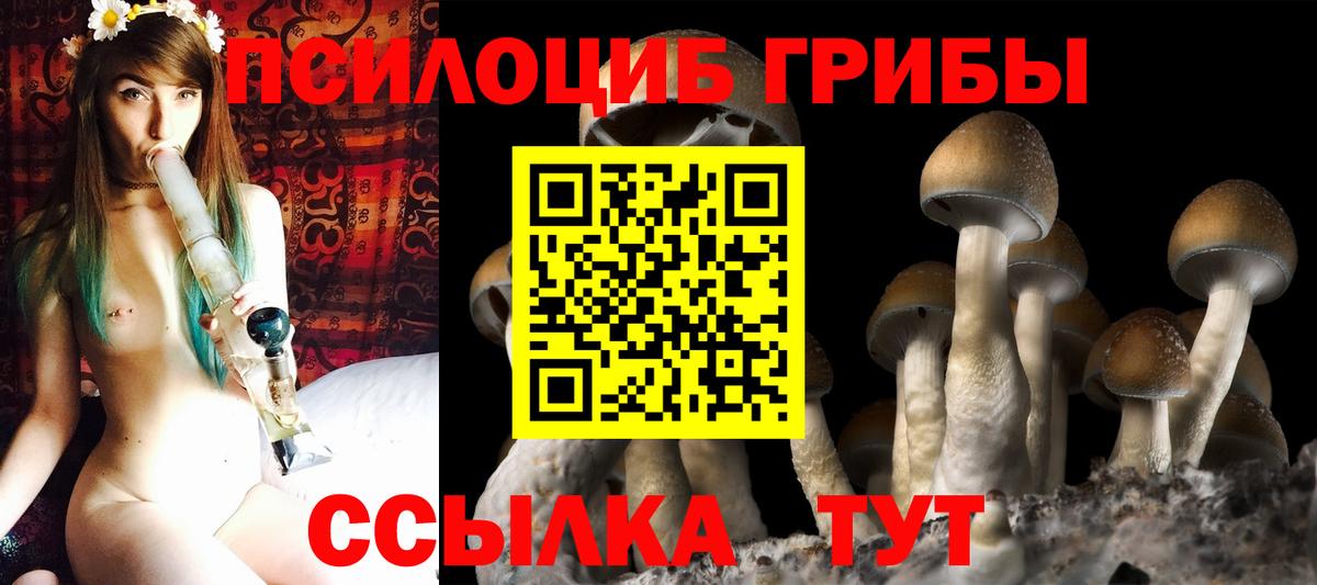 Галлюциногенные грибы Magic Shrooms Кировск