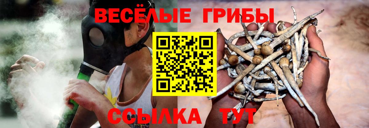 Кировск  Галлюциногенные грибы Psilocybe  Вход с VPN 